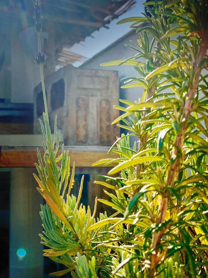 Riad Dar Yasaman Marrakesh Eksteriør bilde